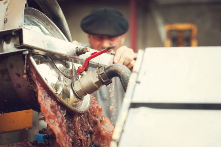 At the Gates of Toulouse: From the Vine to the Cellar - Estate Visit Details