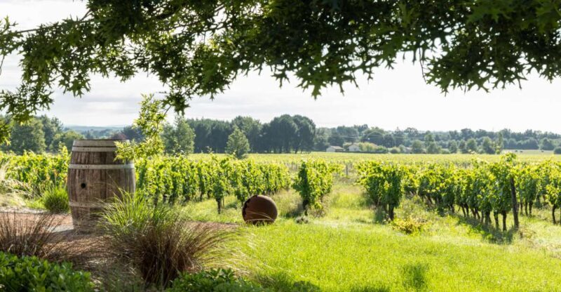 At the gates of Toulouse : Gourmet Tour - Walk and Tastings - Good To Know