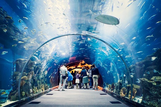 At The Top Burj Khalifa & "Aquarium" Dubai Mall Tickets - Common Questions
