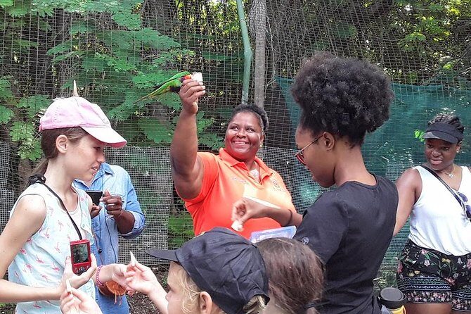 At YOUR Pace Private Tours V.I.P - Nassau, Bahamas - Authenticity and Local Insights