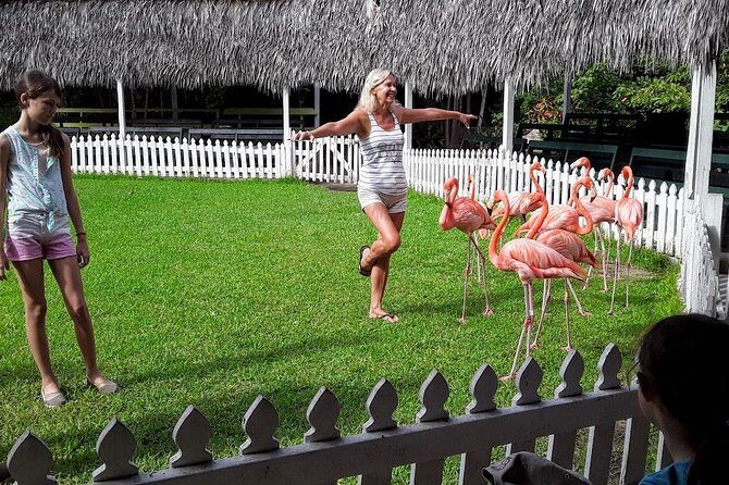 At YOUR Pace Private Tours V.I.P - Nassau, Bahamas - Pricing and Value