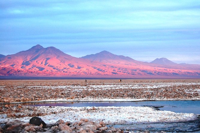 Atacama Salt Flat & Piedras Rojas Tour From San Pedro De Atacama - Tour Highlights
