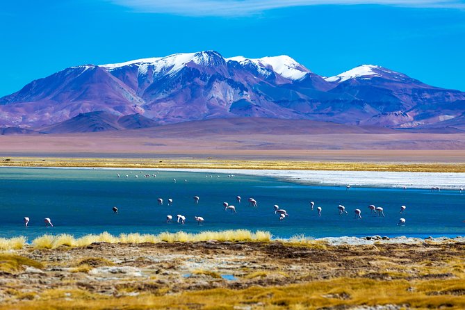 Atacama Salt Flat & Piedras Rojas Tour From San Pedro De Atacama - Itinerary Details