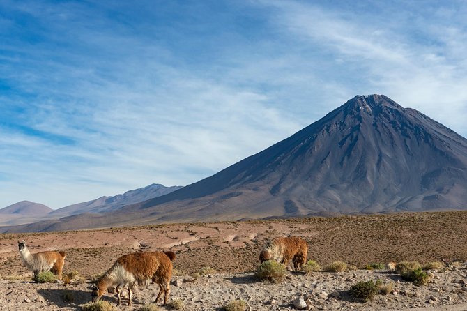 Atacama's Puna Salt Flats Adventure Awaits - Logistics and Pickup Information