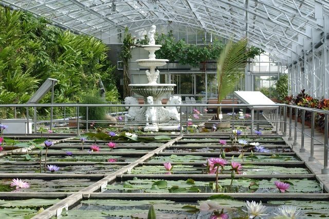 Atagawa Tropical & Alligator Garden Ticket in Higashiizu - Make room for the tropical garden and bananas