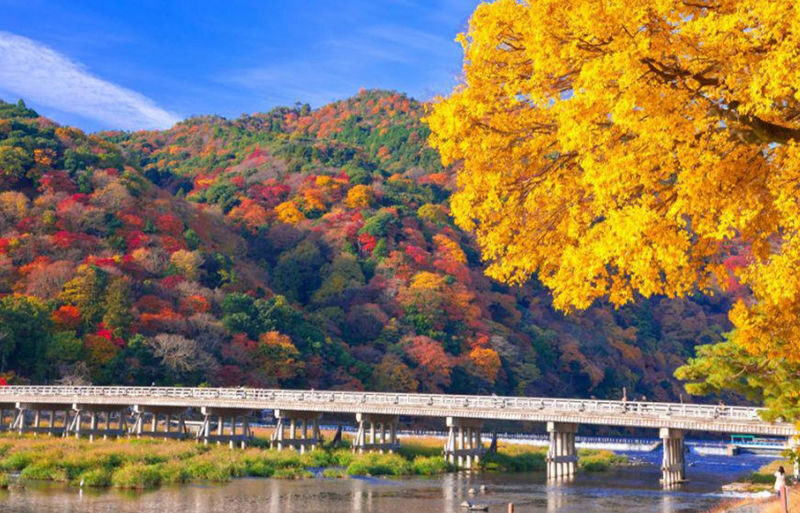 Atago Nenbutsuji Temple/Jojakkoji Temple & Katsuoji Temple & Arashiy - Should you book this tour?