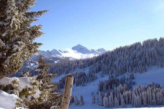 Atal Tunnel Sightseeing Tour Covering Sissu & Solang Valley - FAQ