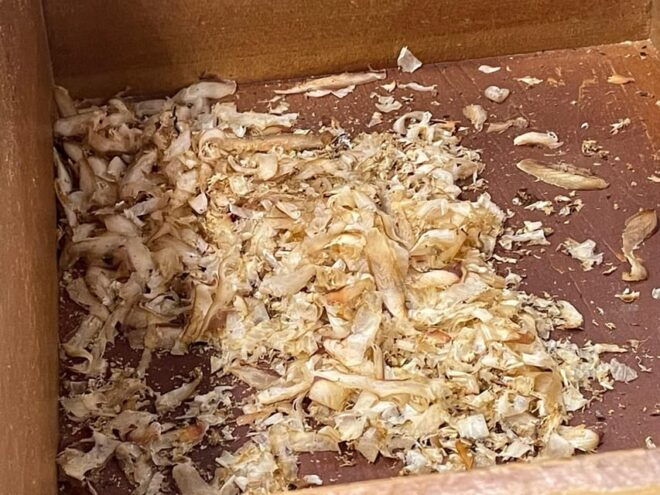 Atami: Explore Atamis Culinary Culture Walking Tour - Detailed Itinerary