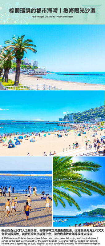 Atami Fireworks Beach Day Trip: Hakone Shrine/Day Trip Hot Spring & Atami Sun Beach (Departing from Tokyo/Shinjuku) - Fireworks are the highlight, but plan your viewing spot