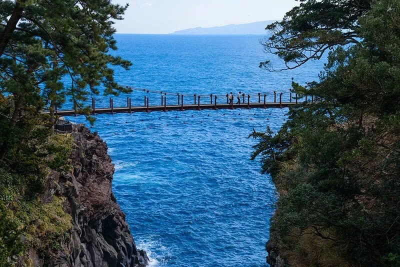 Atami Fireworks Limited: Izu & Atami Fireworks / Hakone Atami Fireworks Festival One-Day Tour | Depart from Tokyo - What the timing means for your day