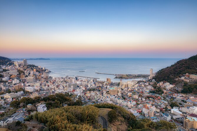Atami Full-Day Private Tour With Government-Licensed Guide - Tour Duration and Transportation