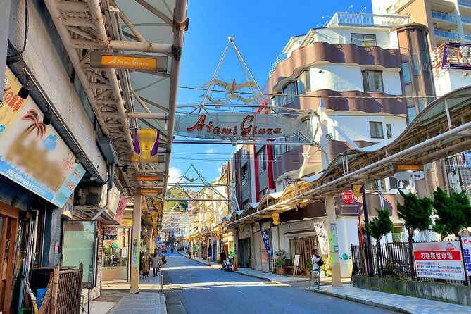 Atami Full-Day Private Tour With Government-Licensed Guide - Pricing and Group Size