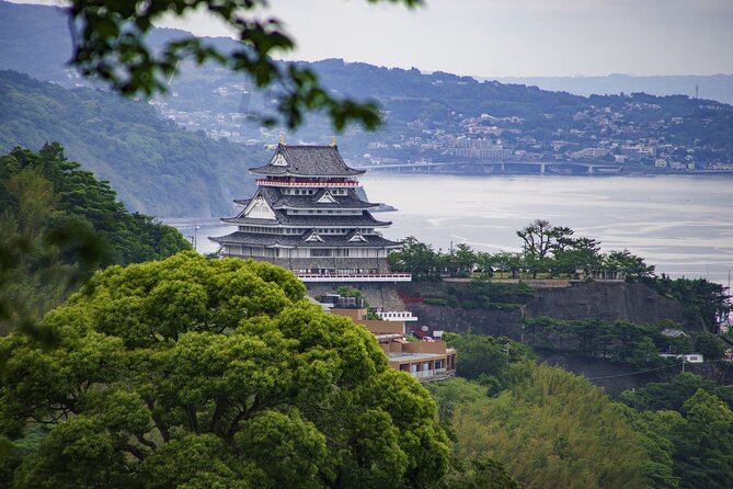 Atami Full-Day Private Tour With Government-Licensed Guide - Private Vehicle Reservation and Currency