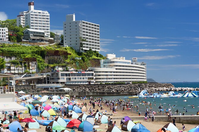 Atami Full-Day Private Tour With Government-Licensed Guide - Terms and Conditions