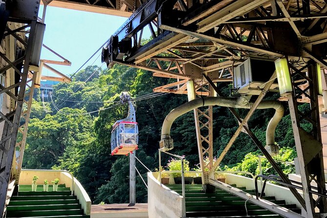 Atami Full-Day Private Tour With Government-Licensed Guide - Common Questions