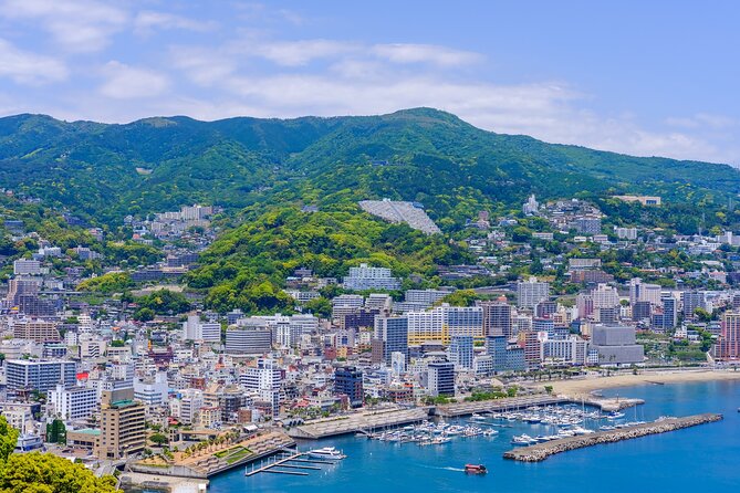 Atami Full-Day Private Tour With Government-Licensed Guide - The Sum Up