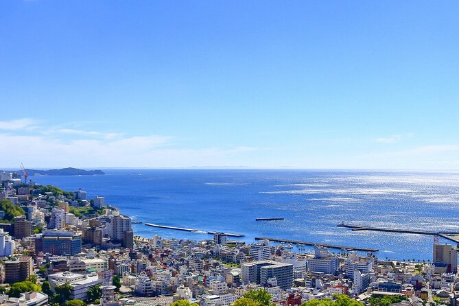 Atami Half-Day Private Tour With Government-Licensed Guide - Cancellation Policy