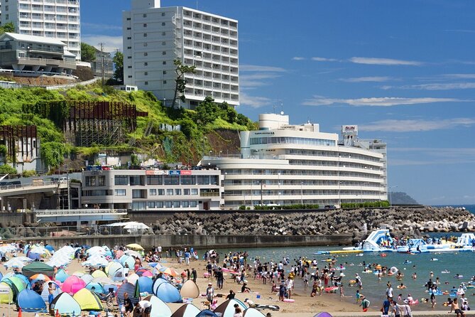 Atami Half-Day Private Tour With Government-Licensed Guide - Common Questions
