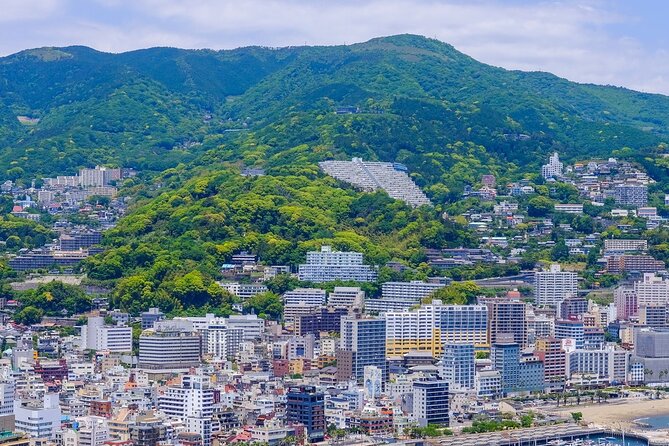 Atami Half-Day Private Tour With Government-Licensed Guide - The Sum Up