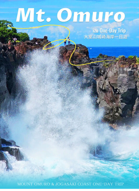 Atami/Ito | Mt. Omuro (Including Ropeway), Izu Skyline, Jogasaki Coast, Marine Town 1-Day Tour | Departing from Shinjuku - From Shinjuku to Izu, a day built around the road