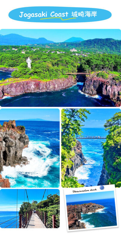 Atami/Ito | Mt. Omuro (Including Ropeway), Izu Skyline, Jogasaki Coast, Marine Town 1-Day Tour | Departing from Shinjuku - Ito Marine Town, a gentle end to the day