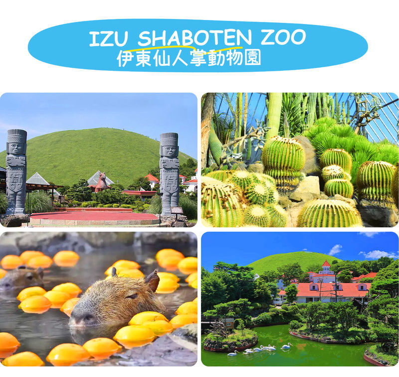 Atami/Ito | Mt. Omuro (Including Ropeway), Izu Skyline, Jogasaki Coast, Marine Town 1-Day Tour | Departing from Shinjuku - The value depends on how you like to travel
