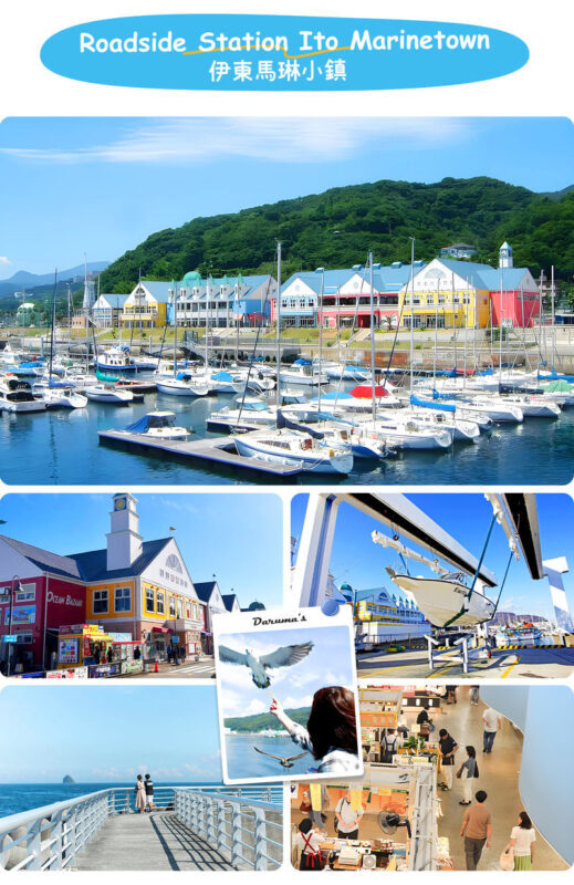 Atami/Ito | Mt. Omuro (Including Ropeway), Izu Skyline, Jogasaki Coast, Marine Town 1-Day Tour | Departing from Shinjuku - Should you book?