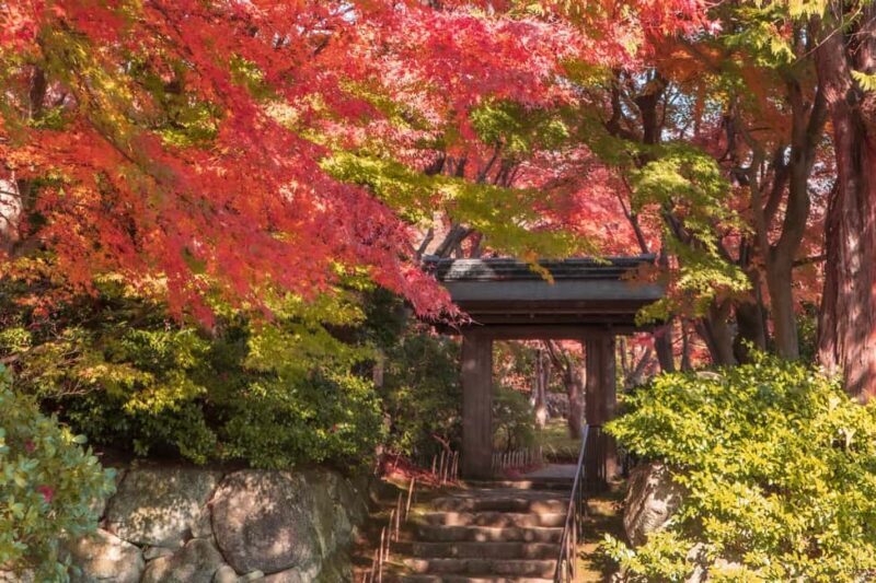 Atami: MOA Museum of Art Admission Package - Good To Know