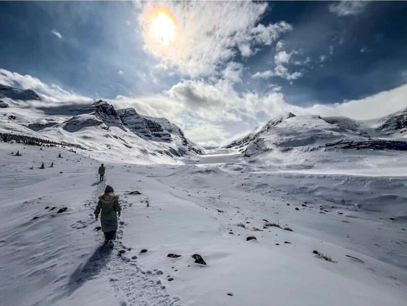 Athabasca Falls/Abraham,Sunwapta Falls, Icefield, Peyto Lake - The Experience: What Travelers Say