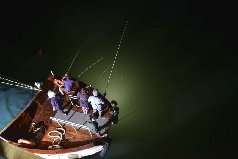 Athena Luxury 3D2N Cruise: Ha Long Bay, Sung Sot, Ti Top - What the fare buys, and what it does not