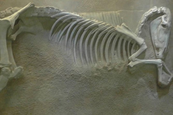 Athenian Metro, Connect the Dots, Discover the City Under the City - Artifacts Unearthed During Construction