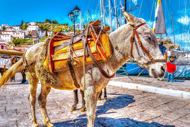 Athens: 1-Day Cruise to Poros, Hydra & Aegina Islands With Lunch - Island Highlights