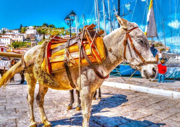 Athens, Acropolis Museum, Cape Sounion, Cruise & Delphi - Common Questions