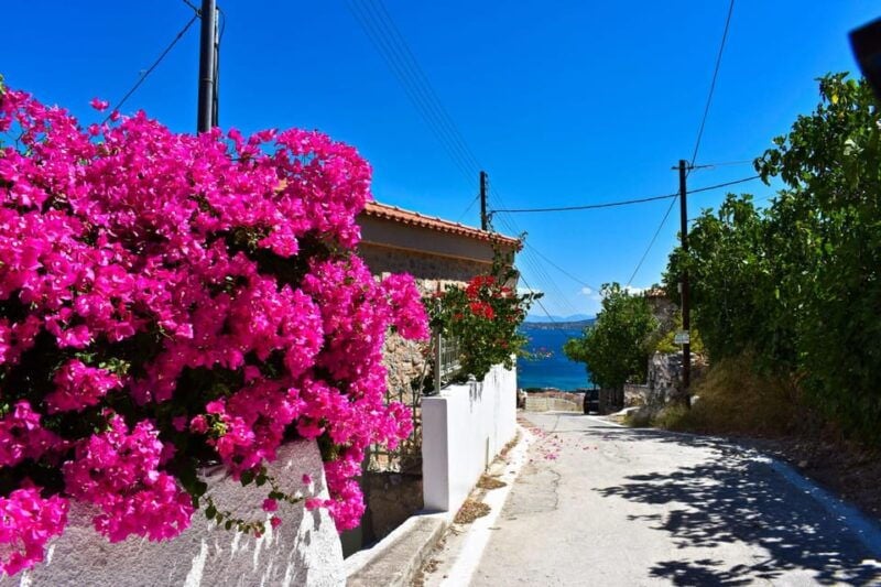 Athens: Agistri, Metopi & Aegina Cruise with Meals & Drinks - Good To Know