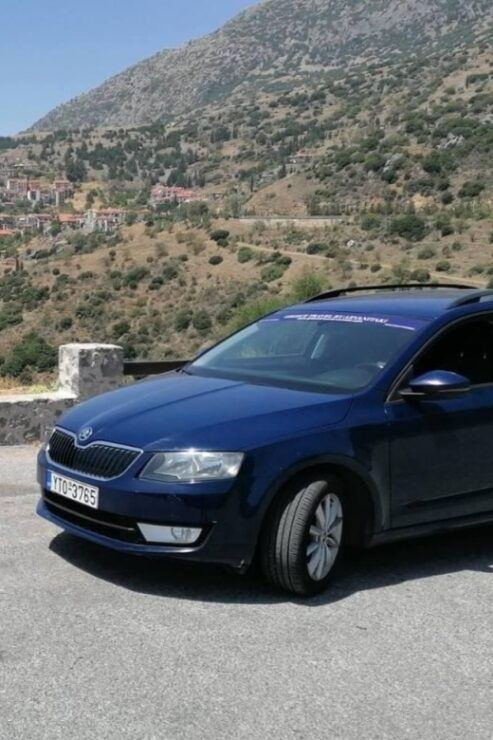 Athens Airport Transfer To/From Porto Cheli - Service Details