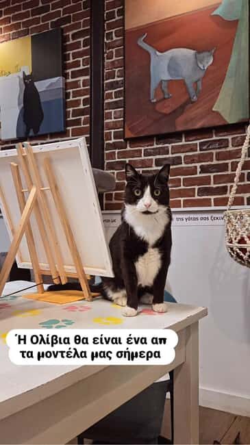 Athens: Cat Café Paint & Sip Experience - Good To Know