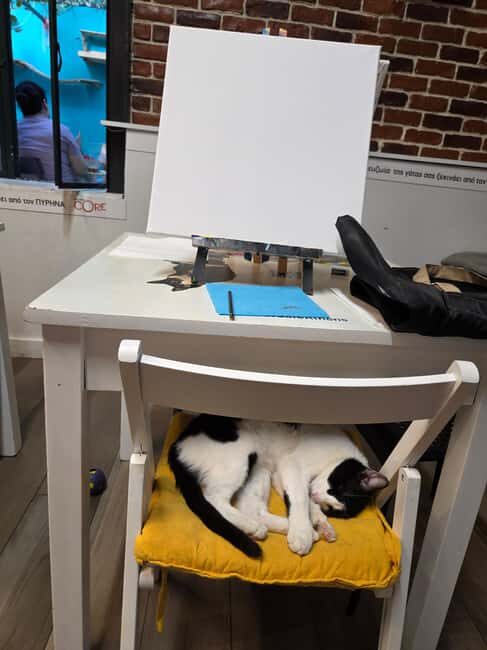 Athens: Cat Café Paint & Sip Experience - The Venue and Setting