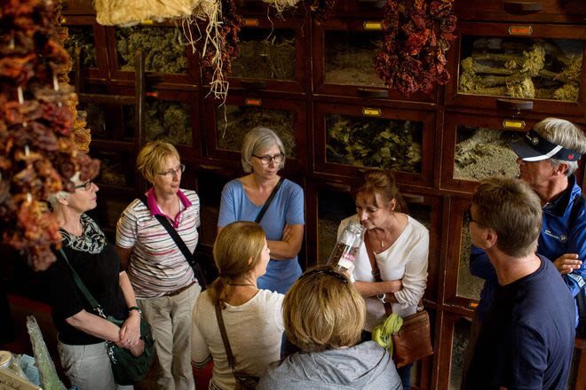 Athens Central Markets Half-Day Small Group Food Tour - Booking details to keep in mind