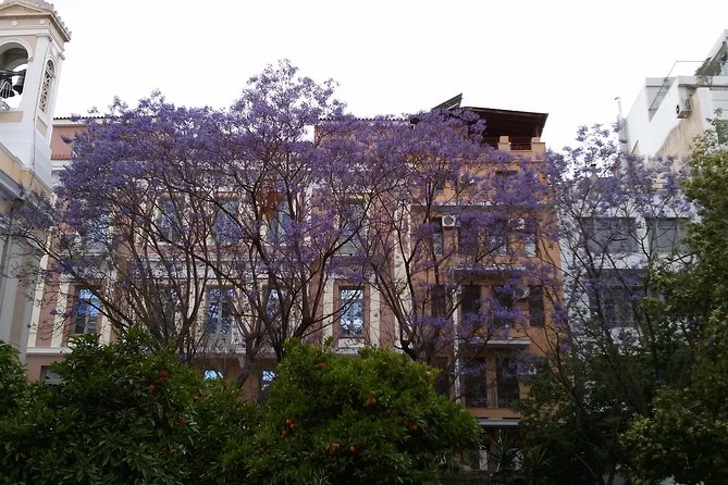 Athens Culture Walk - Unforgettable Experiences