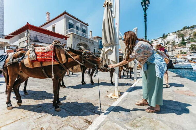Athens Day Cruise  Since 1965 | Visit Hydra, Poros & Aegina - The Itinerary in Detail