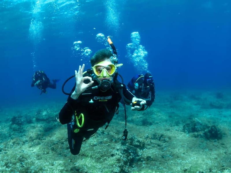 Athens: Discover Scuba Diving Experience for Beginners - What to Expect from the Athens Discover Scuba Experience