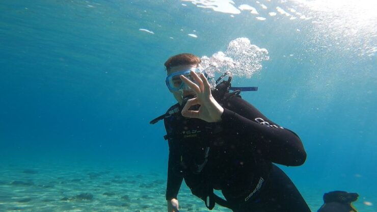 Athens East Coast: Discover Scuba Diving in Nea Makri - Experience Highlights