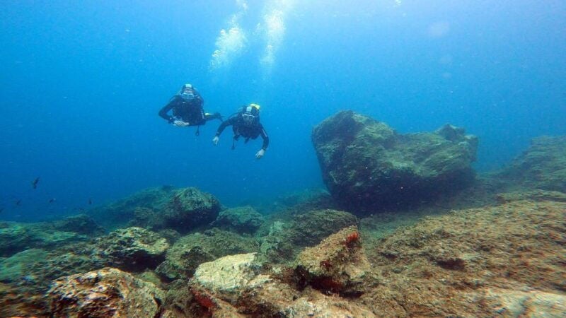 Athens East Coast: Open Water Diver Course in Nea Makri - Why This Tour Is a Great Choice
