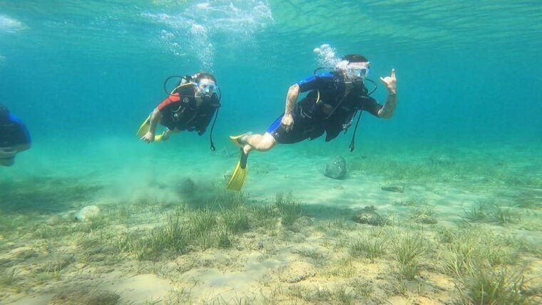 Athens East Coast: Open Water Diver Course in Nea Makri - Frequently Asked Questions (FAQs)