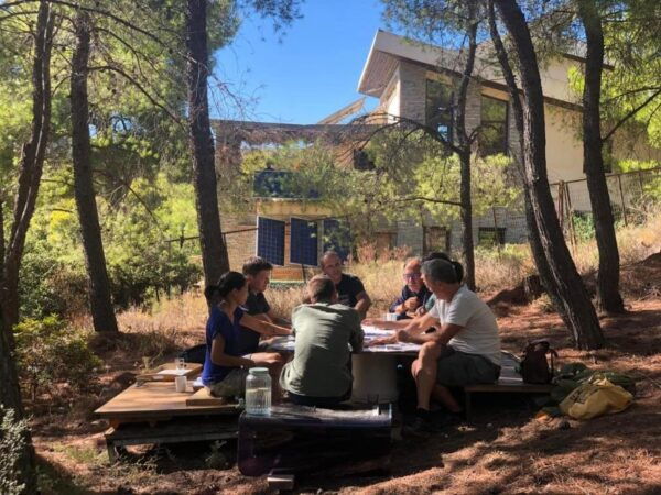 Athens: Eco Tour in the Living Museum of Sustainability - The Sum Up