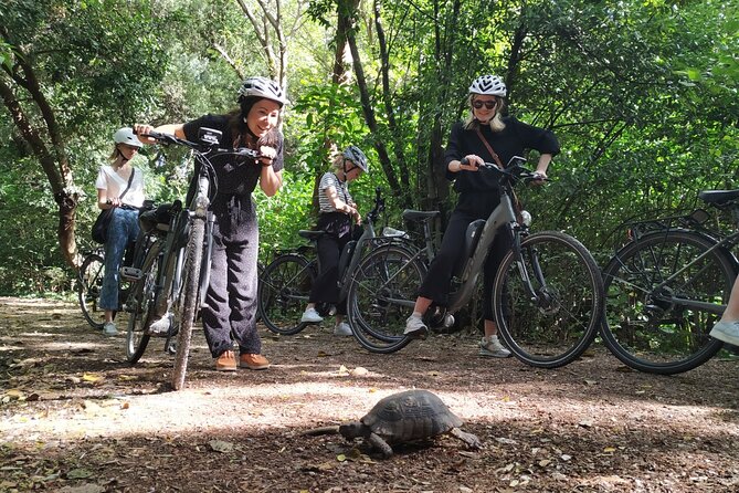 Athens Electric Bike Small Group Tour - End Point and Tour Focus