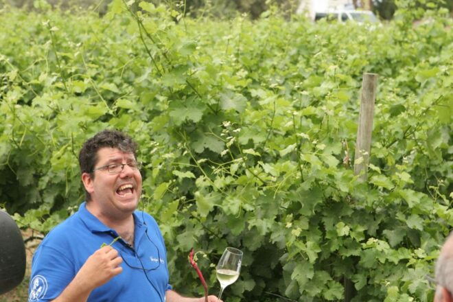 Athens: Full-Day Evia Private Wine Tour With Spa Treatment - The Sum Up