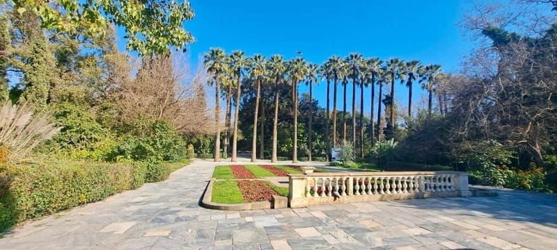 Athens Fun Day with a Local (Walking tour) - What’s Included & What to Consider  