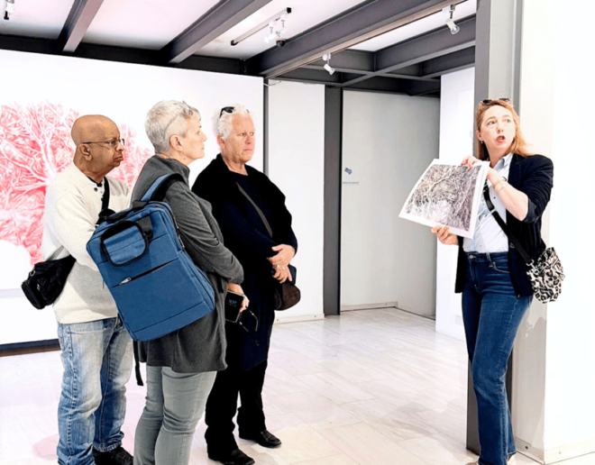Athens: Gallery Hop Walking Tour in City Center - Highlights of the Experience