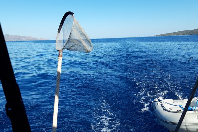 Athens Greece Private Day Cruises ALL INCLUSIVE Fuel BBQ Meal - Fuel and BBQ Meal Inclusions